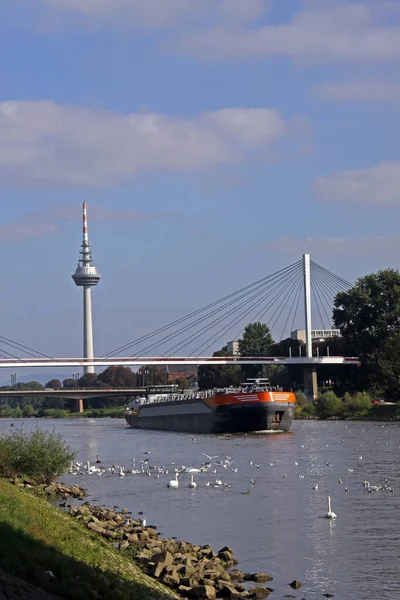 Pråm Neckar Mannheim — Stockfoto