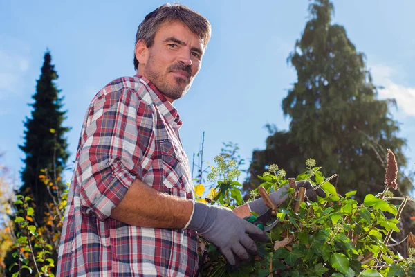 Hombre Campo Plantas — Foto de Stock