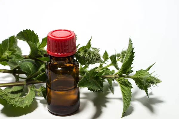 Cannabis Oil Fresh Herbs — Stock Photo, Image