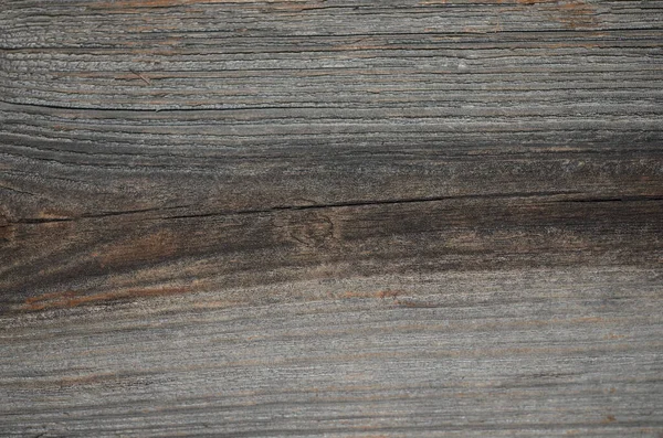 Old Wooden Board Woodworm — Stock Photo, Image