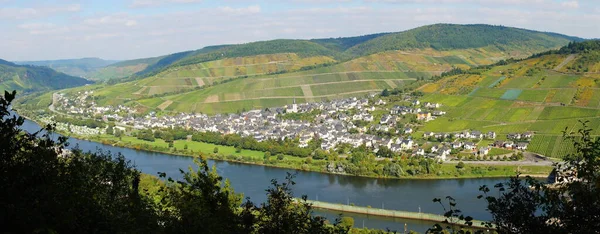 Enkirch Panoramie Moselle Jesienią — Zdjęcie stockowe