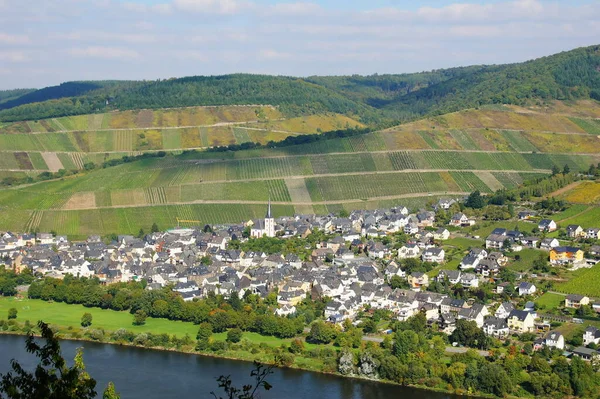 Enkirch Moselle Terlihat Dari Montroyal — Stok Foto