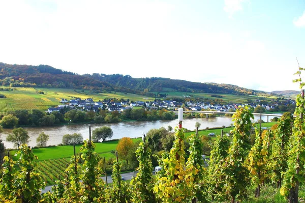 Moselle Egy Folyó Amely Átfolyik Franciaországon Luxemburgon Németországon — Stock Fotó