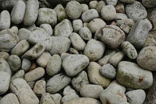 Estadísticas Una Costa Guijarros Grises — Foto de Stock