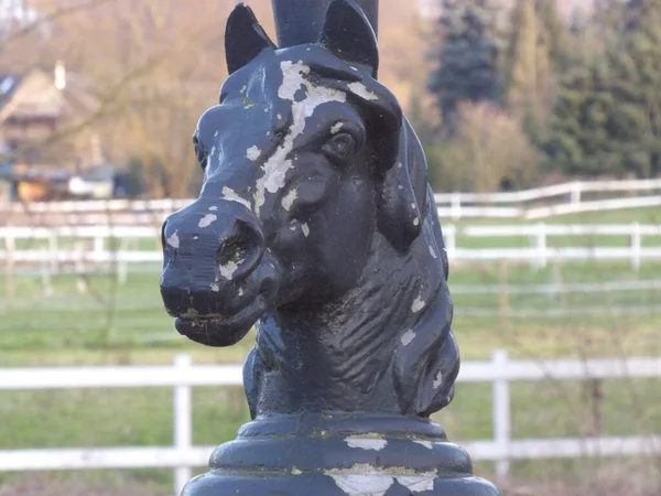 Rzeźba Głowy Konia Słupów Słupów Ściennych Dekoracja Ogrodu Koń — Zdjęcie stockowe