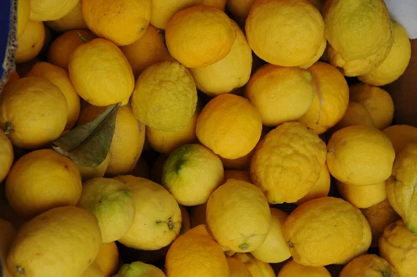 Соковиті Свіжі Лимони Цитрусові — стокове фото