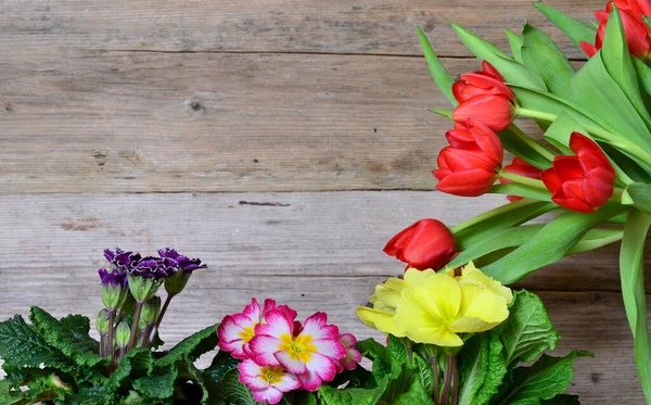 Jarní Květiny Dřevěném Pozadí — Stock fotografie