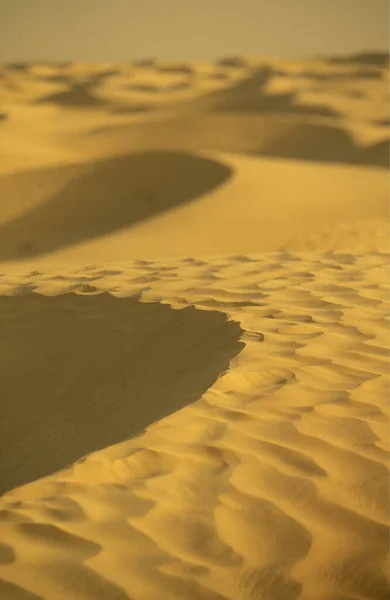 Die Sahara Bei Douz Zentralen Süden Tunesiens Nordafrika — Stockfoto
