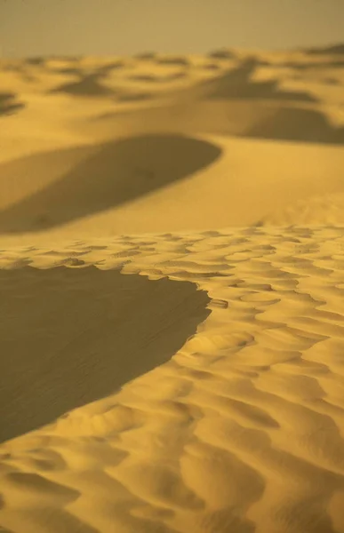 Die Sahara Bei Douz Zentralen Süden Tunesiens Nordafrika — Stockfoto