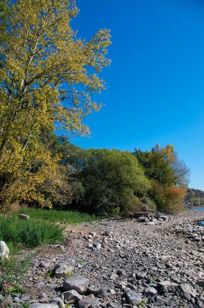 Podzimní Krajina Údolí Středního Rýna — Stock fotografie