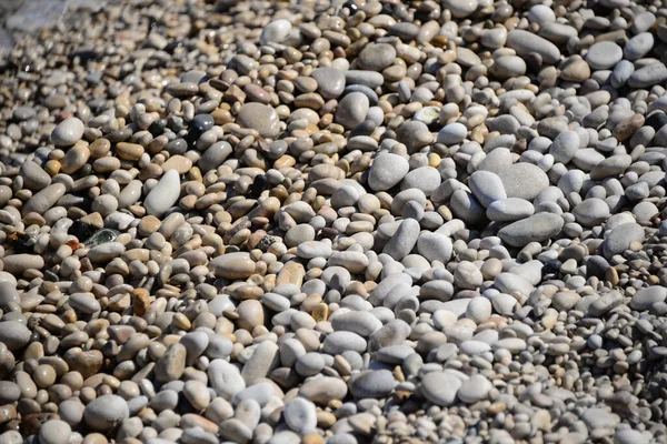 Пляжні Камені Каміння Галька — стокове фото
