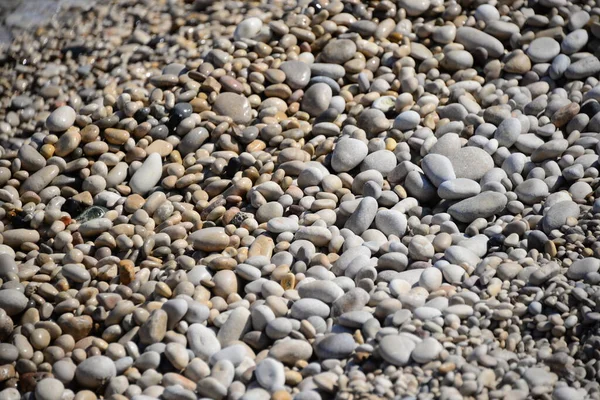 Strandstenen Rotsen Kiezelstenen — Stockfoto