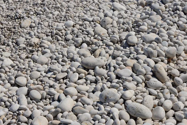 Strandsteine Felsen Und Kieselsteine — Stockfoto