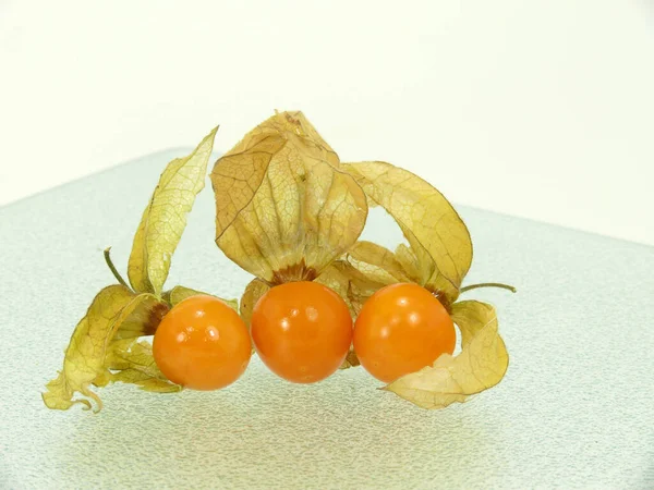 Physalis Sobre Fundo Branco — Fotografia de Stock