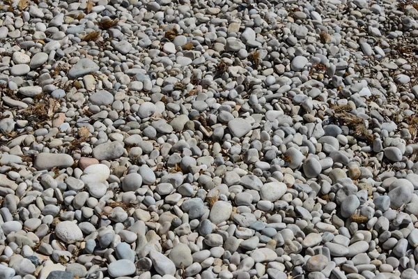 Strandstenen Rotsen Kiezelstenen — Stockfoto