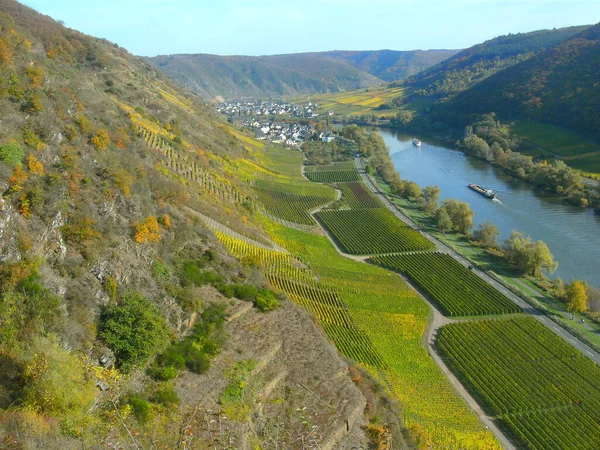 Moselle Est Une Rivière Qui Traverse France Luxembourg Allemagne — Photo