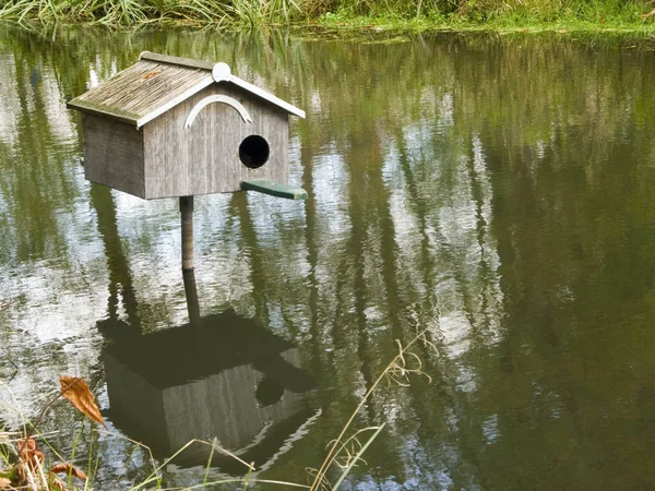 Birdhouse Que Está Lagoa Palafitas Com Reflexo Água Primavera — Fotografia de Stock