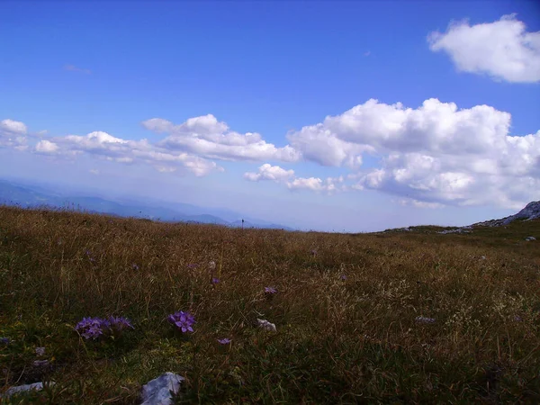 Mountain Meadow Blue Sky — Stock Photo, Image