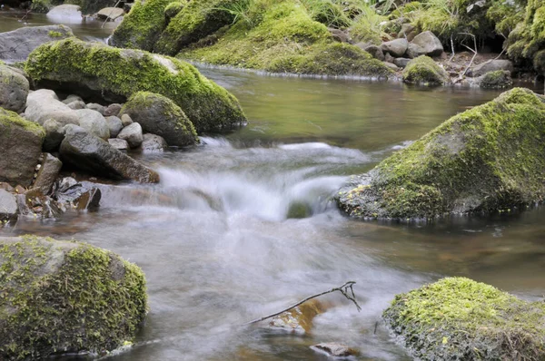 Cachoeira Floresta — Fotografia de Stock