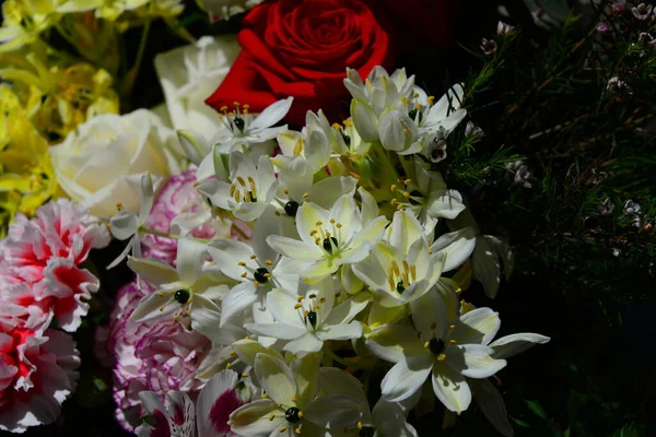 Ramo Flores Día Las Madres — Foto de Stock