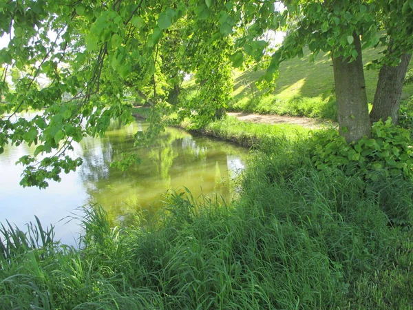 Letni Krajobraz Rzeką Drzewami — Zdjęcie stockowe