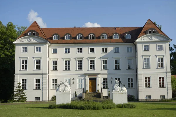 Vue Panoramique Sur Architecture Majestueuse Château Médiéval — Photo