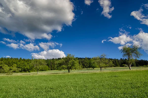 Krajobraz Świeżą Zielenią — Zdjęcie stockowe