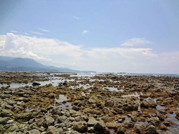 Zomer Groen Paradijs Land Costa Rica — Stockfoto