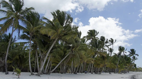 Vue Panoramique Sur Paysage Naturel — Photo