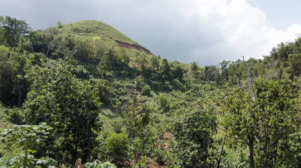 Schilderachtig Uitzicht Het Natuurlijke Landschap — Stockfoto