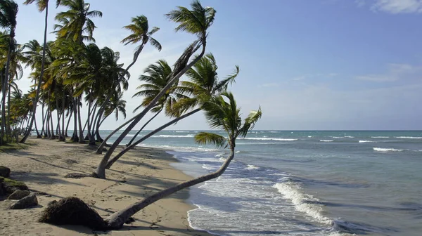 Vista Panorámica Isla Enfoque Selectivo — Foto de Stock