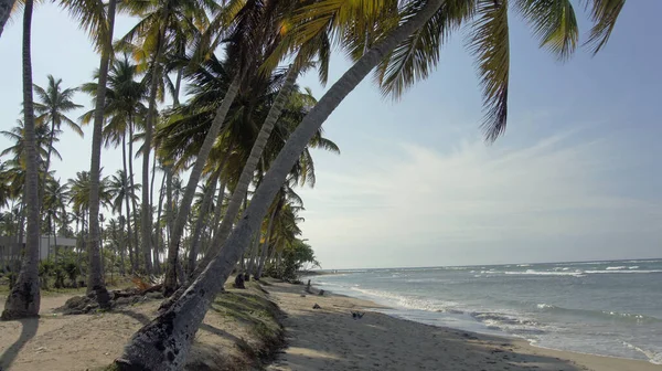 Malerischer Blick Auf Die Insel Selektiver Fokus — Stockfoto