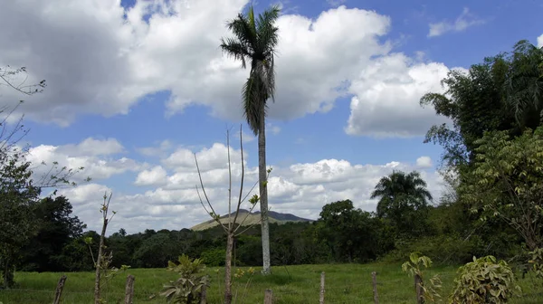 Vista Panorámica Del Paisaje Natural — Foto de Stock