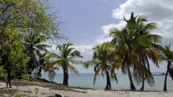 Vue Panoramique Sur Paysage Naturel — Photo