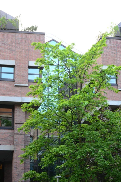 Malerischer Blick Auf Fassaden München Bayern — Stockfoto