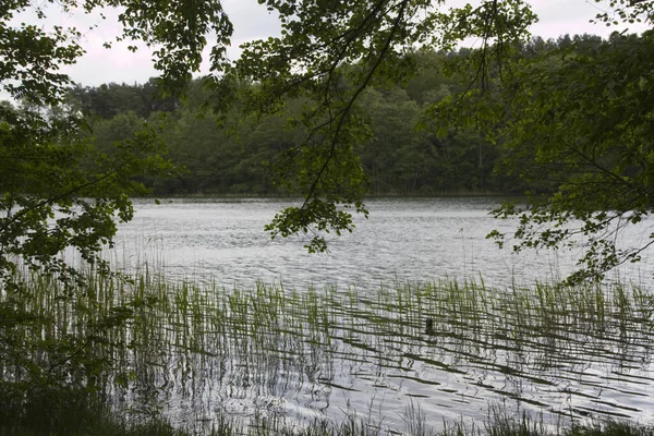 Пейзаж Озере — стоковое фото