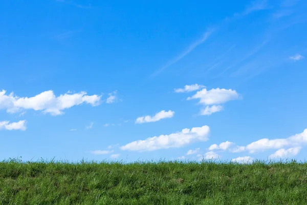 Grass Nabe Blue Sky Background — Stock Photo, Image