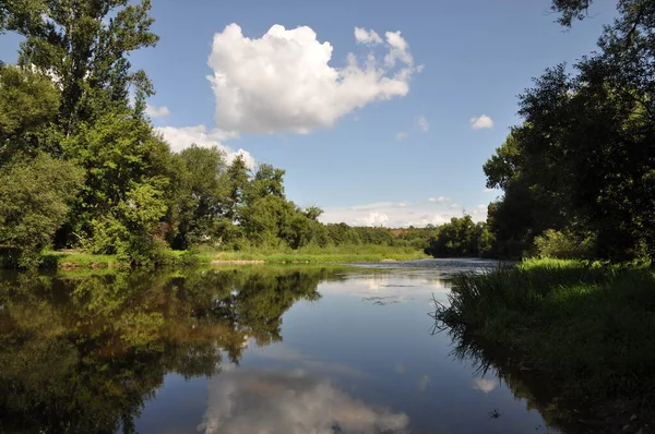 Letni Krajobraz Rzeką Drzewami — Zdjęcie stockowe