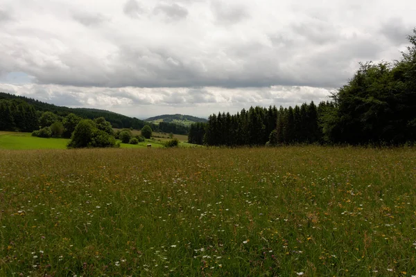 Vue Panoramique Sur Paysage Magnifique Avec Une Chaîne Montagnes — Photo