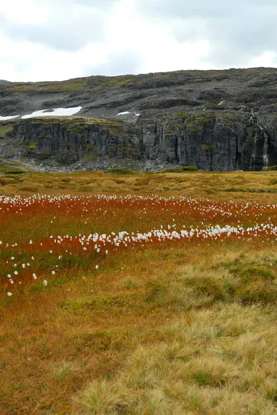 Norveç Doğa Manzarası Arka Planı Üzerine — Stok fotoğraf