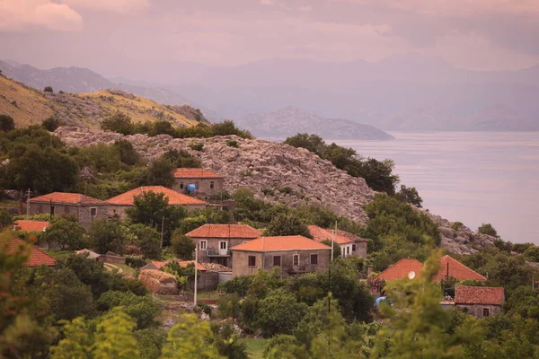 Evropa Východní Evropa Balkán Černá Hora Skadar Jezero Krajina Murici — Stock fotografie