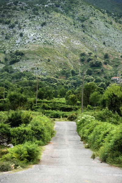 ヨーロッパ 東ヨーロッパ バルカン半島 モンテネグロ Skadar Lake Landscape Godinje Road Mountain — ストック写真