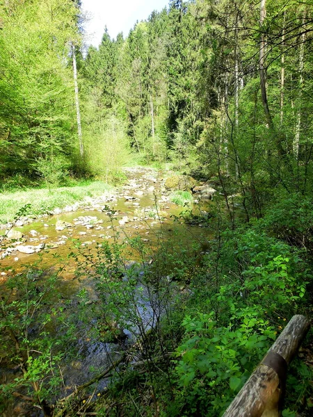 Sommerlandschaft Mit Fluss Und Wald — Stockfoto