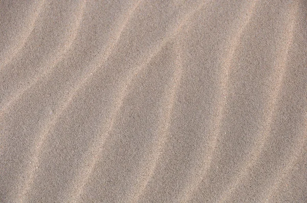 Dunes Sable Dans Désert — Photo