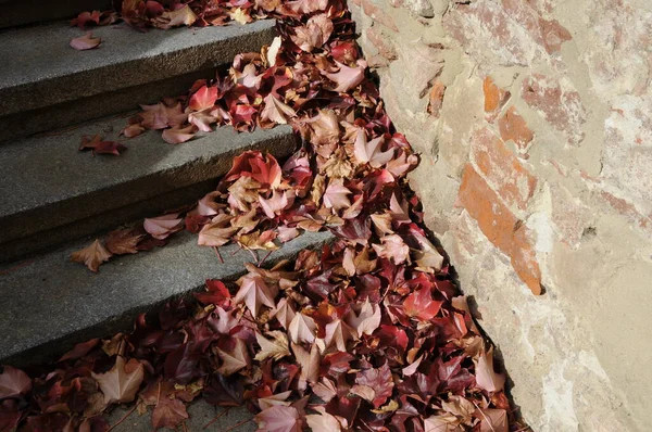 Staircase Autumn Foliage — Stock Photo, Image