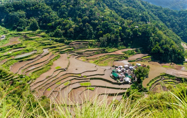 Vue Sur Les Terrasses Riz Village Banga Luçon Philippines — Photo