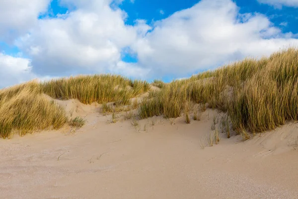 Strandlandschaft Holland — Stockfoto