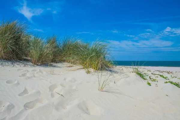 Strandlandschaft Holland — Stockfoto