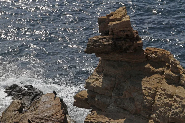 Kustavsnittet Nära Santa Eulalia Ibiza — Stockfoto