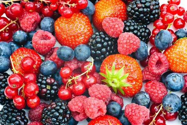 Beeren Und Frische Früchte — Stockfoto